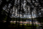 Sebastian Vettel