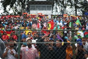 Fans