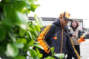 Lando Norris