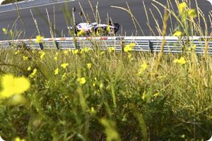 Mick Schumacher
