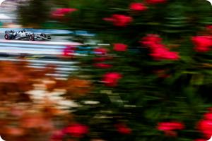 Pierre Gasly