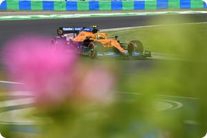 Lando Norris
