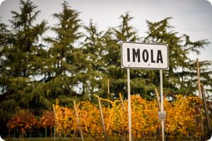 Emilio Romagna GP 2020 - Saturday Photos