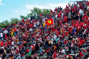 Fans