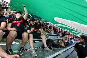 Fans