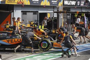 Lando Norris
