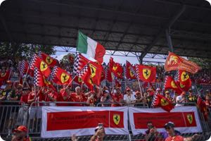 Fans