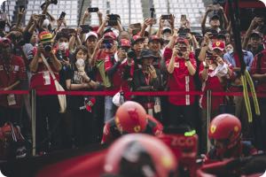 Fans