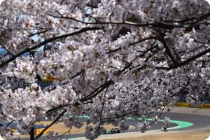 Japanese GP 2025 - Friday Photos