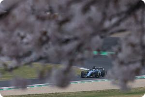 Alex Albon