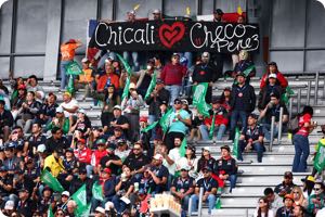 Fans