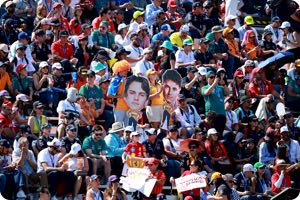 Fans