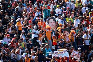 Fans