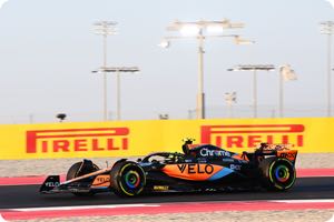 Lando Norris