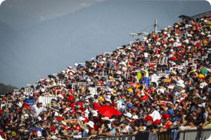 Fans