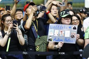 Fans