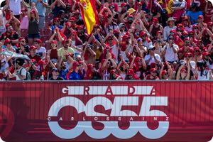 Fans