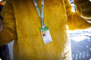 Pudsey Bear