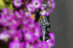 Valtteri Bottas