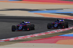 Pierre Gasly, Brendon Hartley