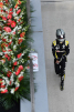 Daniel Ricciardo