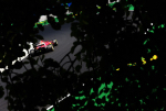 Kimi Raikkonen