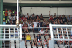 Fans