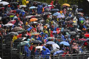 Fans