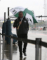 Ross Brawn