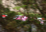 Sergio Perez