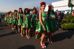 Grid girls