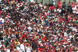 Fans