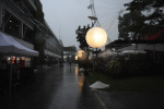 Paddock
