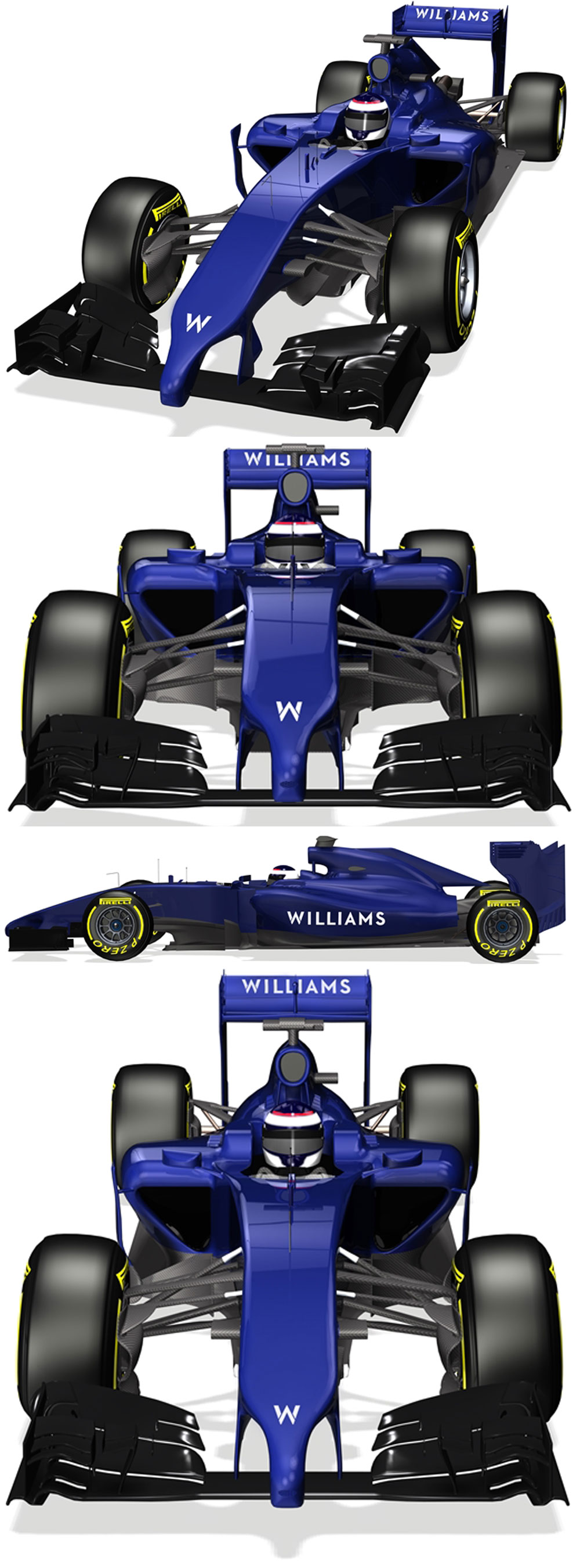 Williams reveals anteater nose for 2014