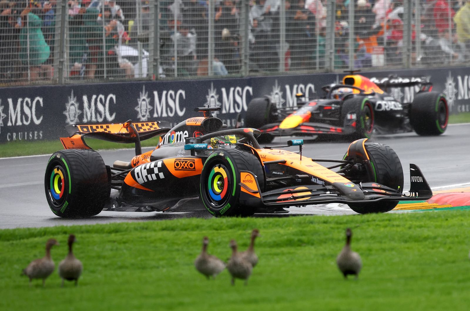 Red Bull can catch McLaren in five races says Marko