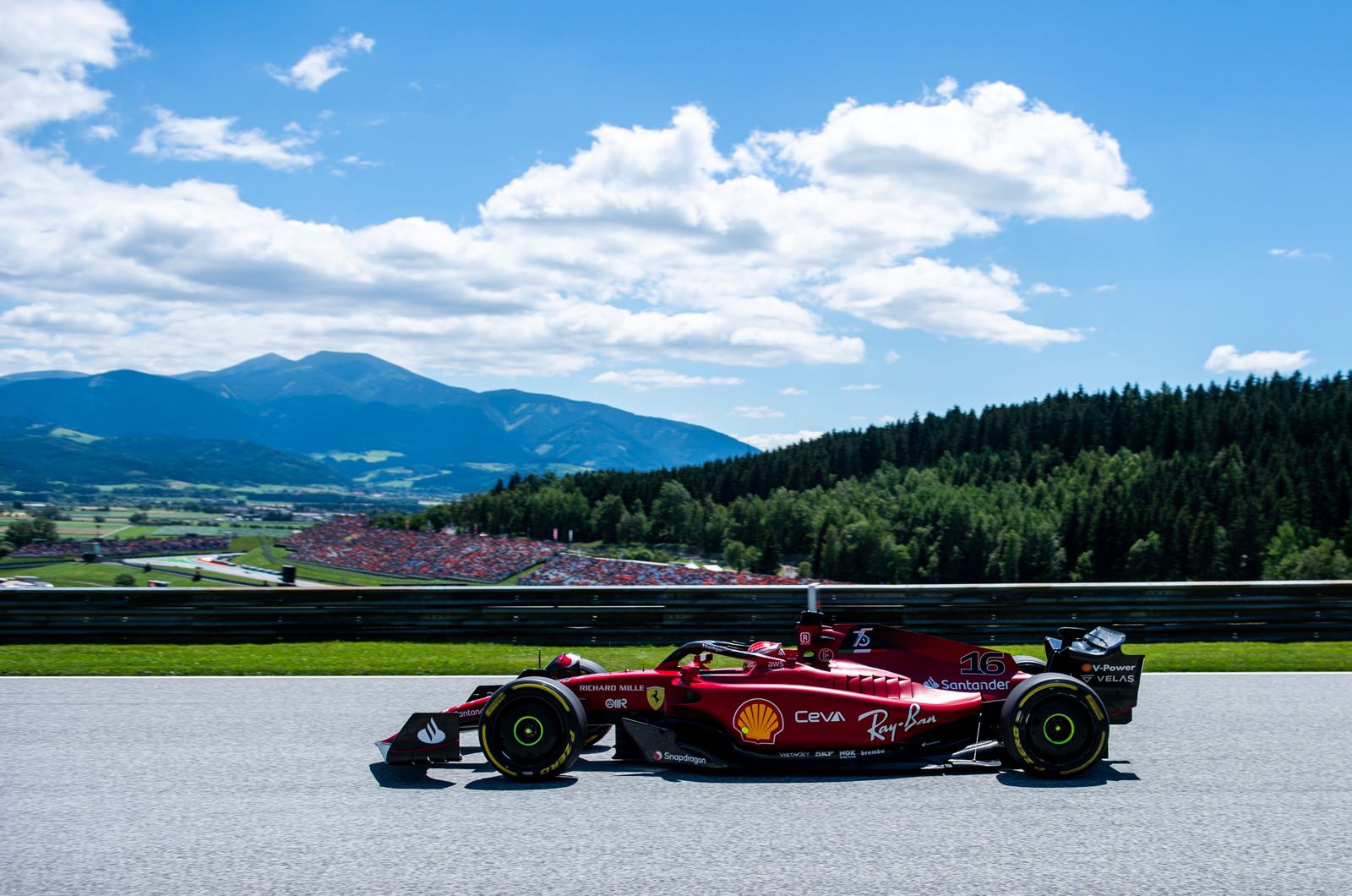Friday Team Quotes
