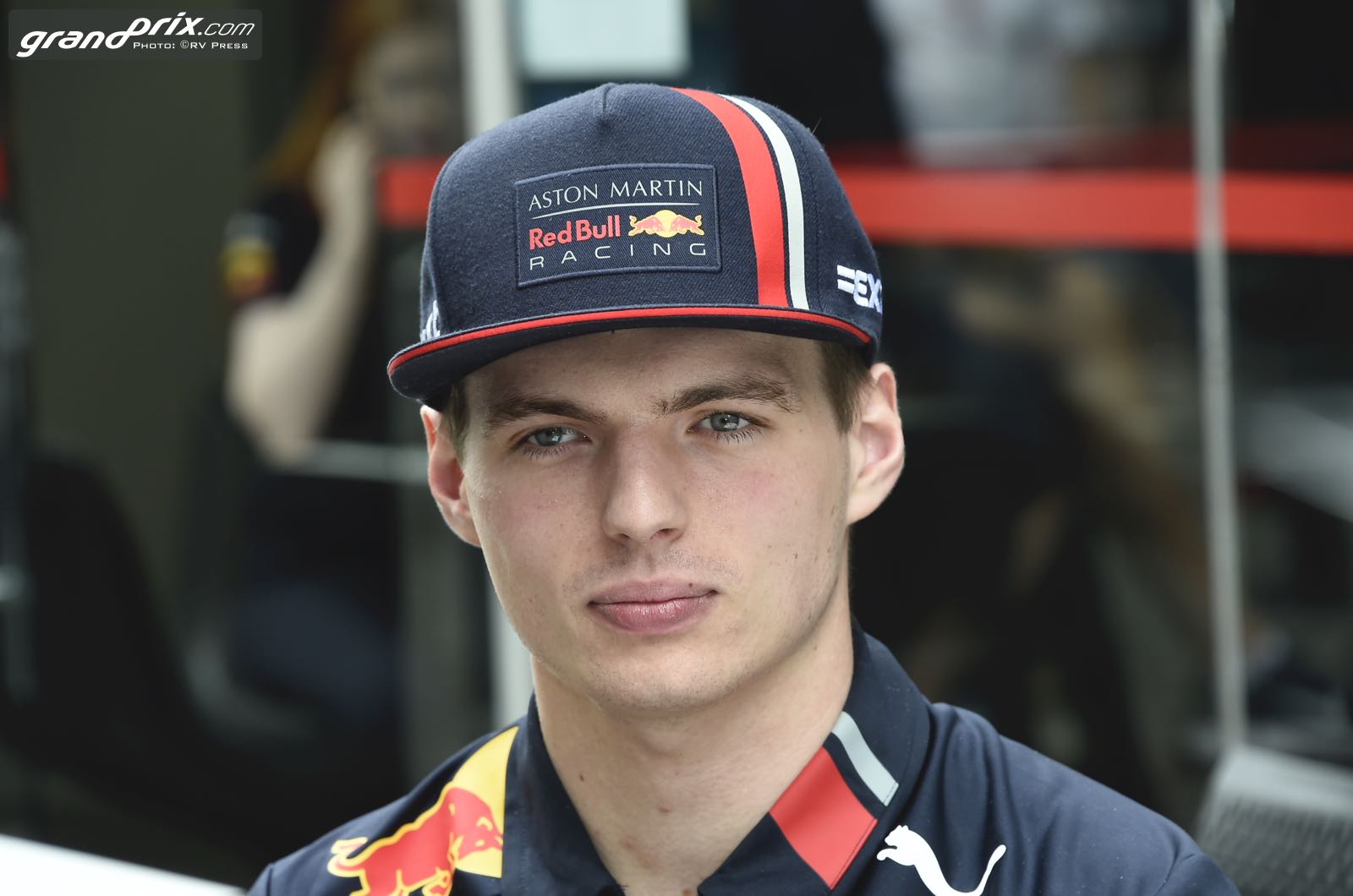 Verstappen donates to koala fundraiser