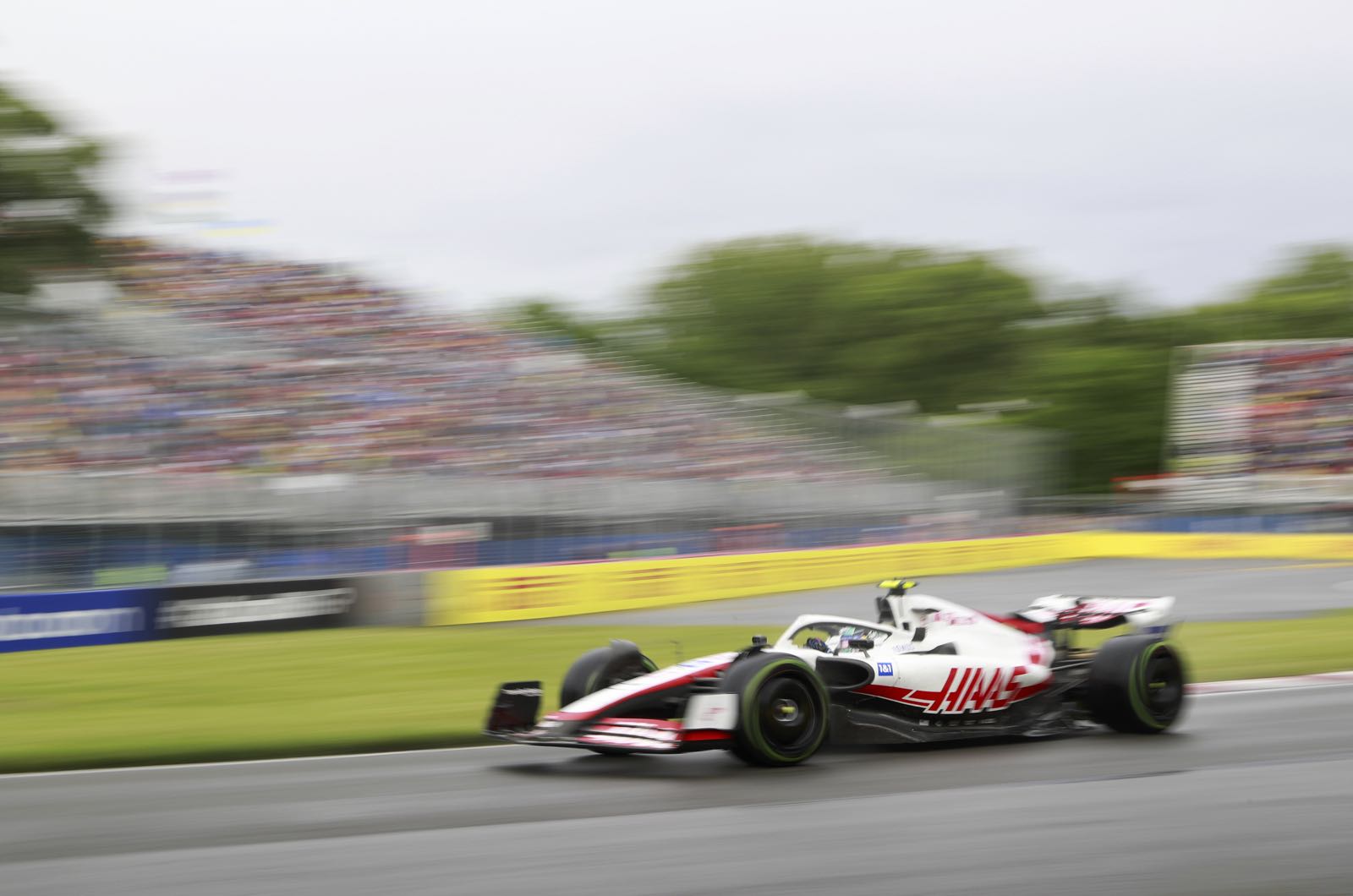Ecclestone says Haas, Ferrari were wrong for Mick
