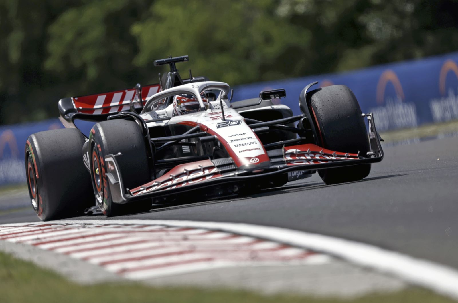 F1 teams racing away from rookie drivers says Steiner
