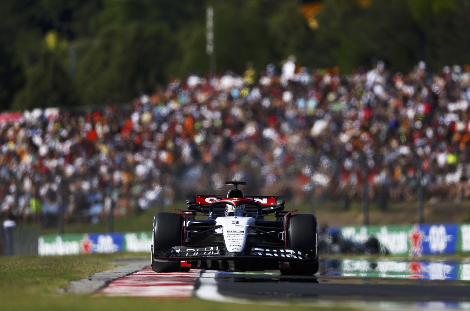 Ricciardo likely to sit out two more F1 races