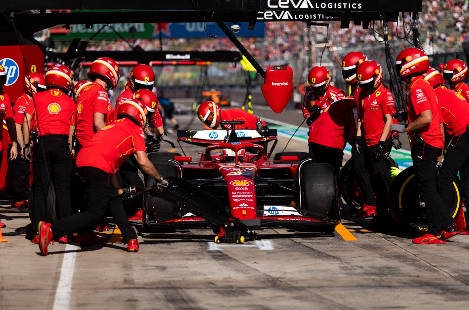 Newey closer and closer to Ferrari contract