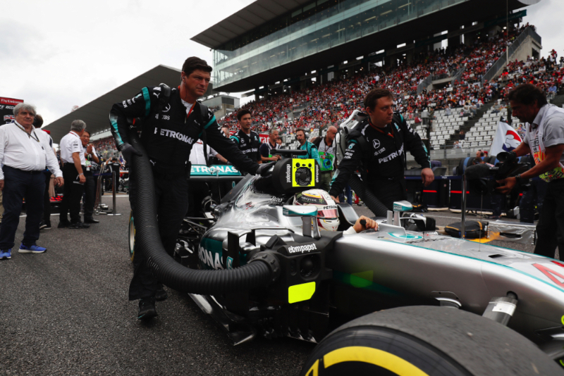 Hamilton should be professional says Surer
