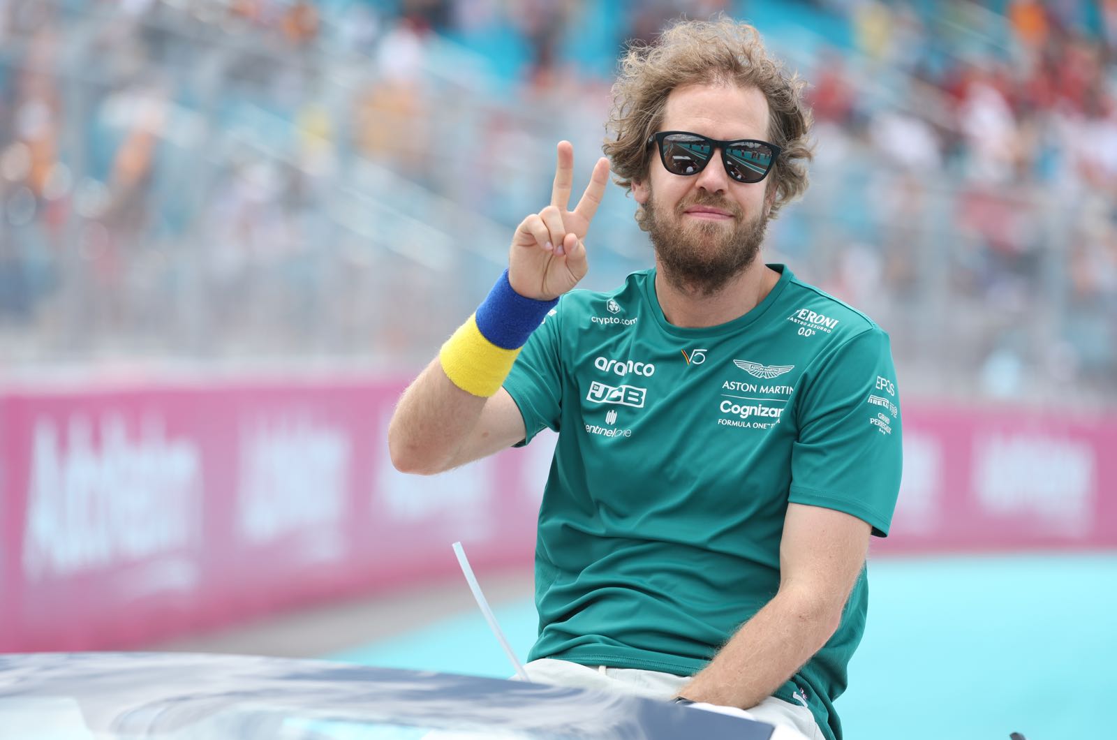 Vettel should drop interest in politics