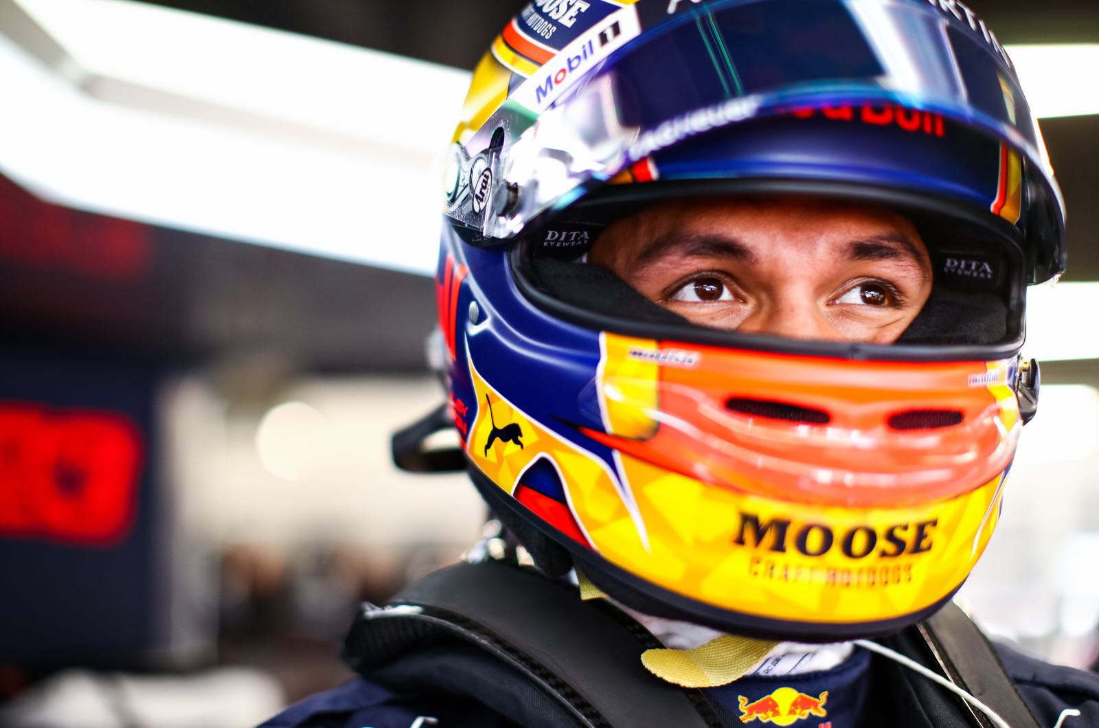 Albon still has potential say Horner