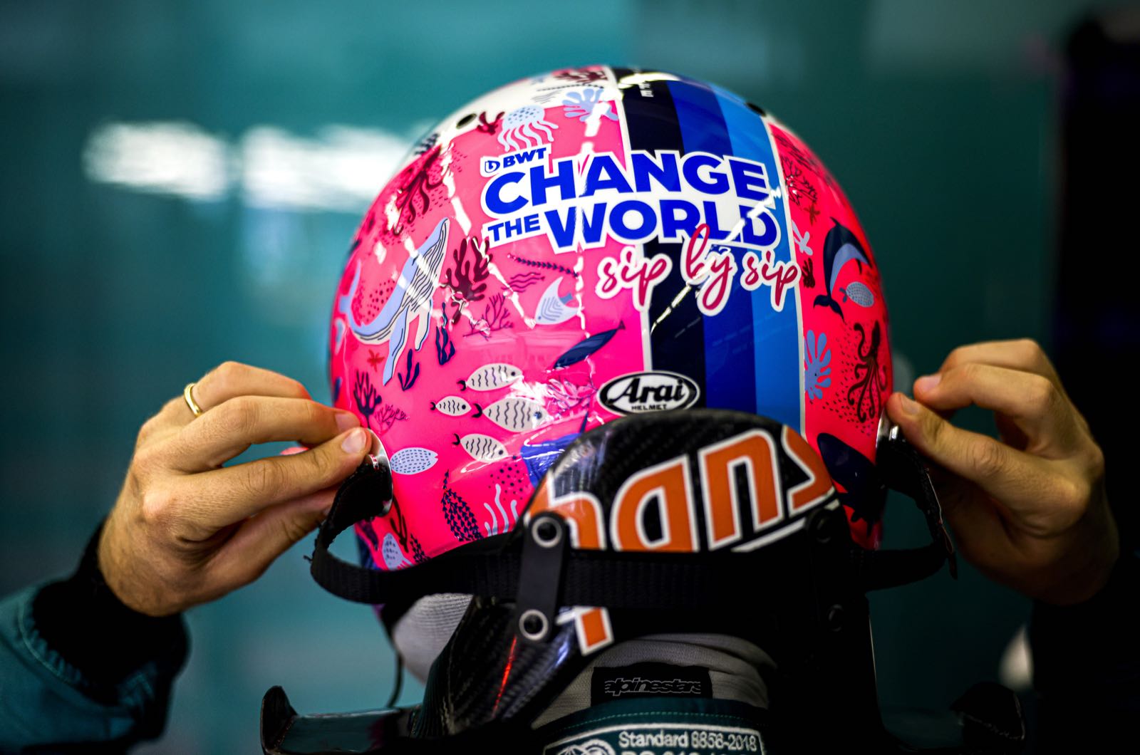 Criticism of F1 activists is justified says Glock
